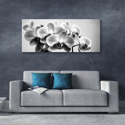 Quadro canvas Flores Planta Natureza