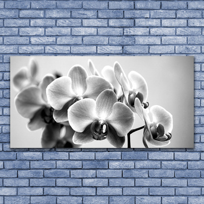 Quadro canvas Flores Planta Natureza