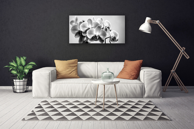 Quadro canvas Flores Planta Natureza