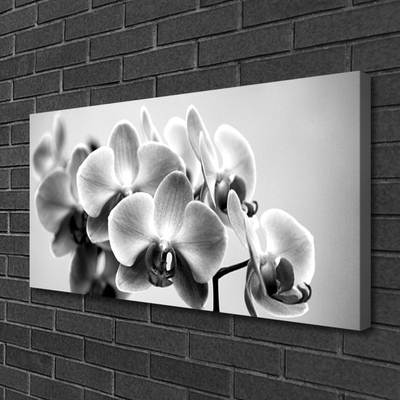 Quadro canvas Flores Planta Natureza