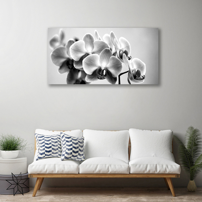 Quadro canvas Flores Planta Natureza