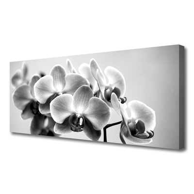 Quadro canvas Flores Planta Natureza