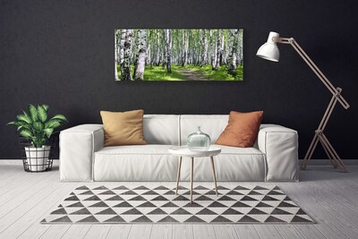 Quadro em tela Caminho da Floresta Natureza Árvores