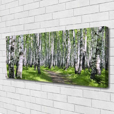 Quadro em tela Caminho da Floresta Natureza Árvores