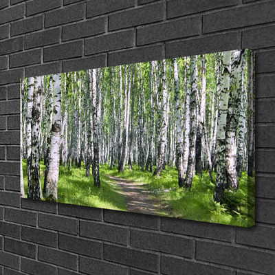 Quadro em tela Caminho da Floresta Natureza Árvores