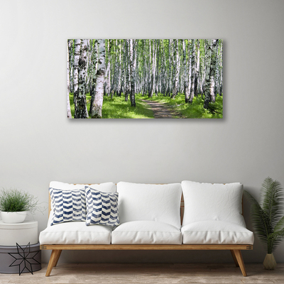 Quadro em tela Caminho da Floresta Natureza Árvores