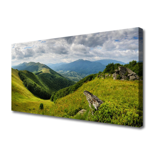 Quadro canvas Paisagem de prados de montanha