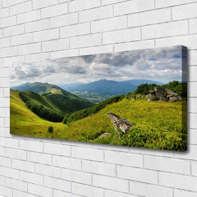Quadro canvas Paisagem de prados de montanha