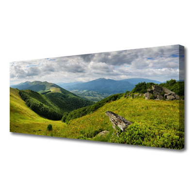 Quadro canvas Paisagem de prados de montanha