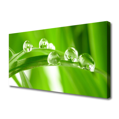 Quadro em tela Folhas Natureza Planta