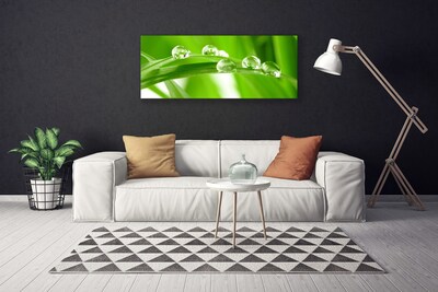 Quadro em tela Folhas Natureza Planta