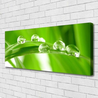 Quadro em tela Folhas Natureza Planta