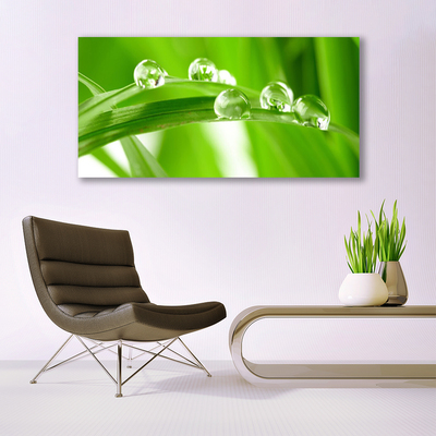 Quadro em tela Folhas Natureza Planta