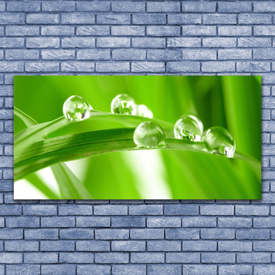 Quadro em tela Folhas Natureza Planta