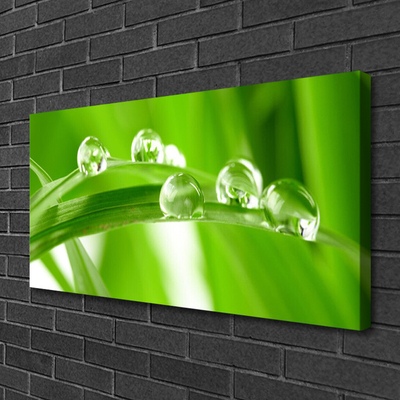 Quadro em tela Folhas Natureza Planta