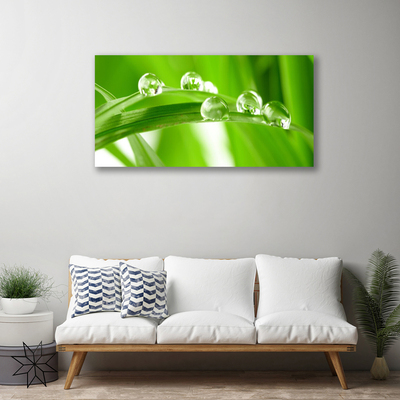 Quadro em tela Folhas Natureza Planta