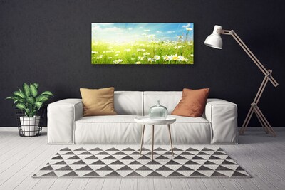 Quadro canvas Natureza do Prado Daisy
