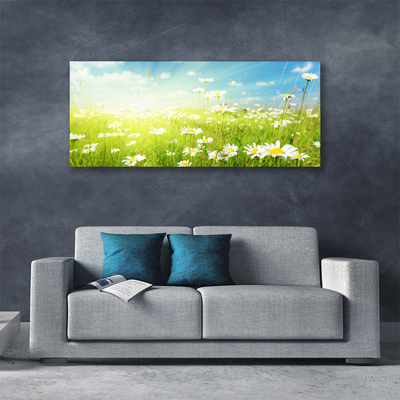 Quadro canvas Natureza do Prado Daisy