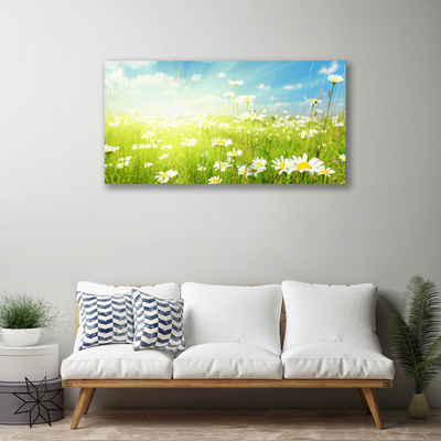 Quadro canvas Natureza do Prado Daisy