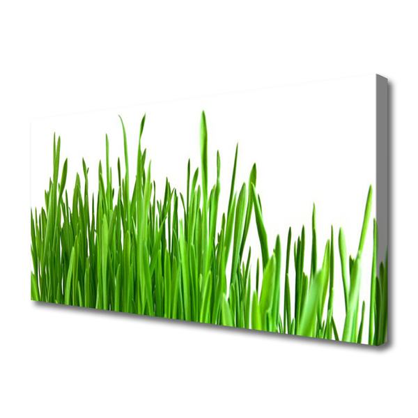 Quadro em tela Natureza da planta grama