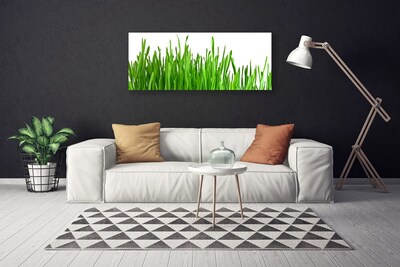 Quadro em tela Natureza da planta grama