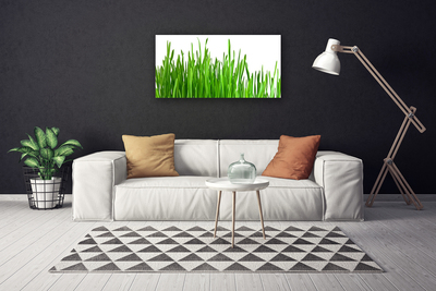 Quadro em tela Natureza da planta grama