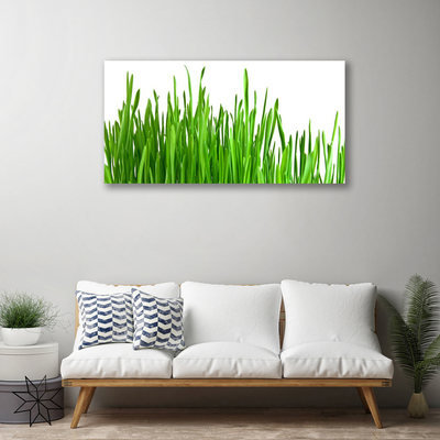 Quadro em tela Natureza da planta grama