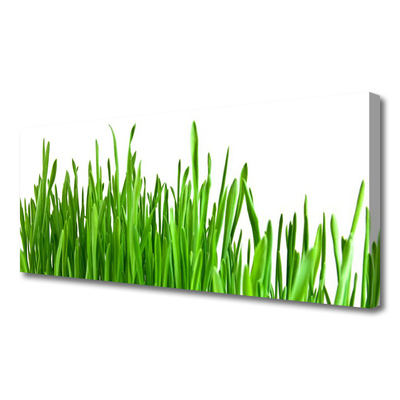 Quadro em tela Natureza da planta grama