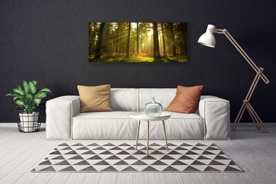 Quadro canvas Floresta Natureza Árvores