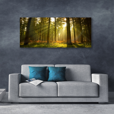 Quadro canvas Floresta Natureza Árvores