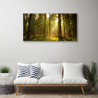 Quadro canvas Floresta Natureza Árvores