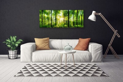 Quadro canvas Floresta Natureza Árvores