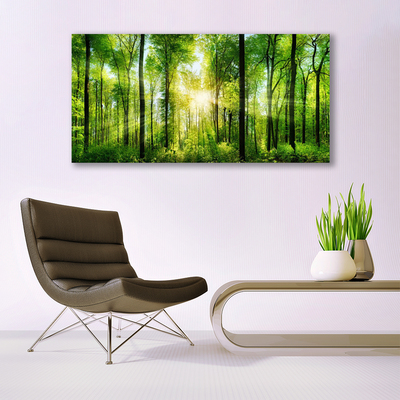 Quadro canvas Floresta Natureza Árvores