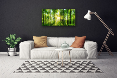 Quadro canvas Floresta Natureza Árvores