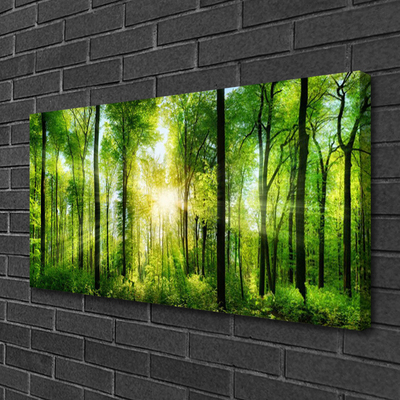 Quadro canvas Floresta Natureza Árvores