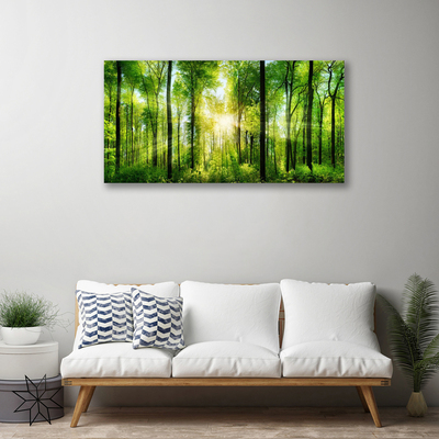 Quadro canvas Floresta Natureza Árvores