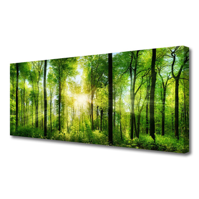 Quadro canvas Floresta Natureza Árvores