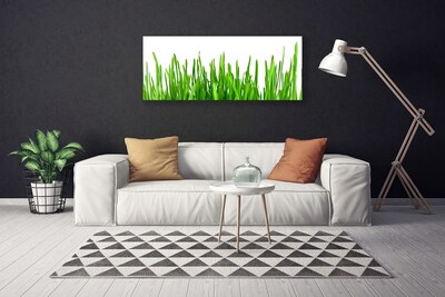 Quadro em tela Natureza da planta grama