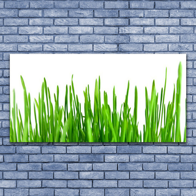 Quadro em tela Natureza da planta grama
