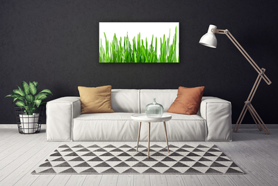 Quadro em tela Natureza da planta grama