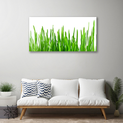 Quadro em tela Natureza da planta grama