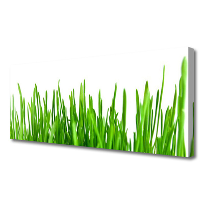 Quadro em tela Natureza da planta grama