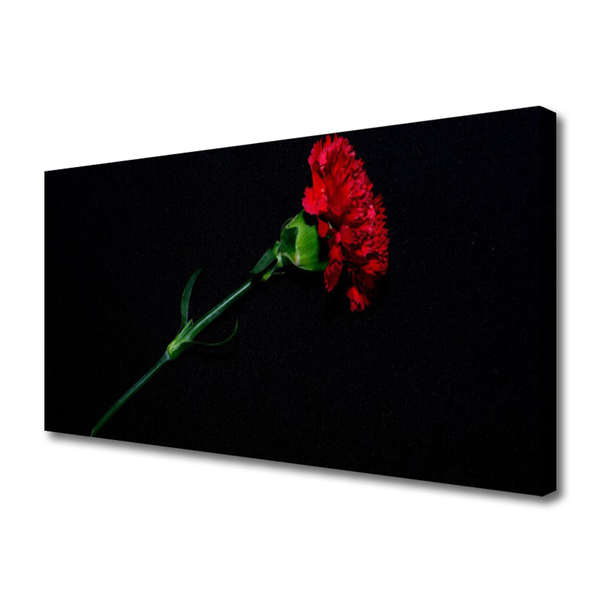 Quadro canvas Flor Planta Natureza