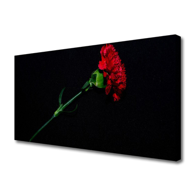 Quadro canvas Flor Planta Natureza
