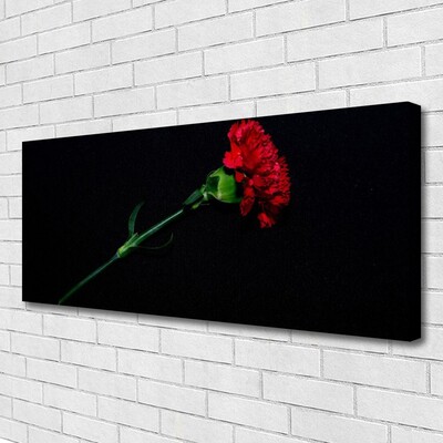 Quadro canvas Flor Planta Natureza