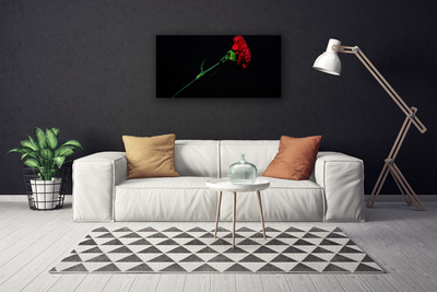 Quadro canvas Flor Planta Natureza