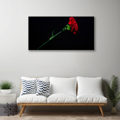 Quadro canvas Flor Planta Natureza