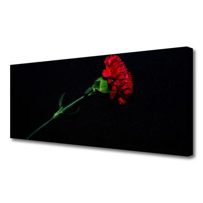 Quadro canvas Flor Planta Natureza