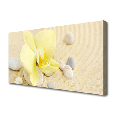 Quadro canvas Flores Planta Natureza