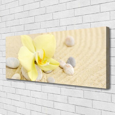 Quadro canvas Flores Planta Natureza